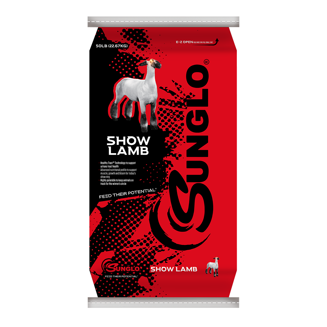 Sunglo Show Lamb
