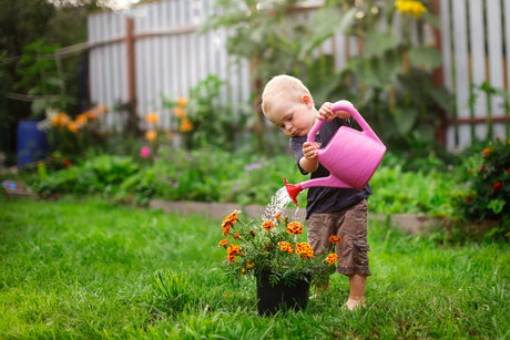 Smart Watering for Colorado Yards: Techniques, Timing & Tools
