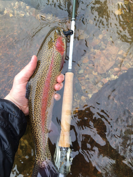 Fly Fishing in Colorado: The Best Spots and Gear from JAX