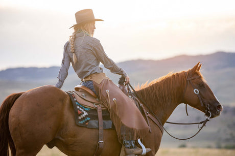EHV Update for Colorado Horse Owners: What You Need to Know