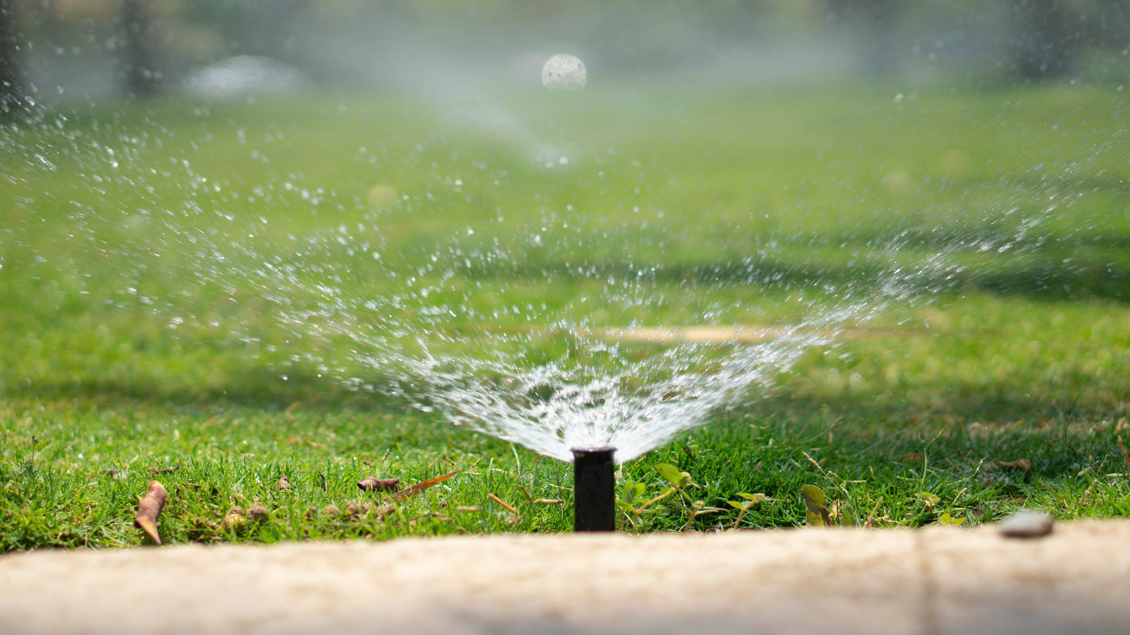 Winterize Your Sprinklers with Equipment Available at JAX