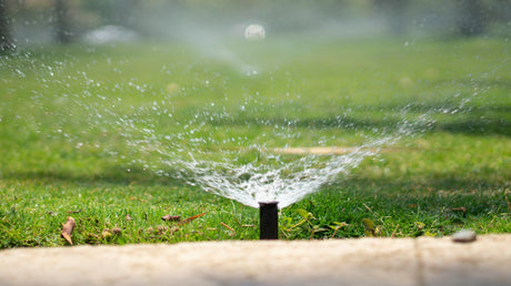 Winterize Your Sprinklers with Equipment Available at JAX