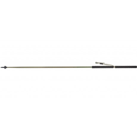Kelty Strider Hiking Staff