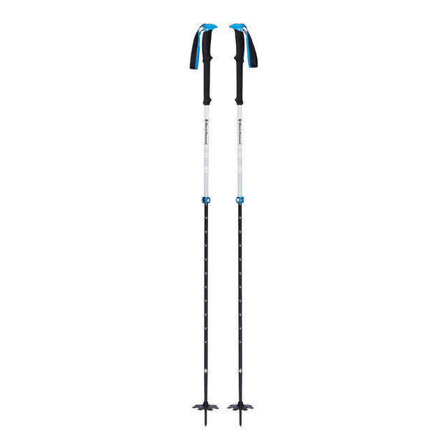 Black Diamond Equipment EXPEDITION 2 PRO SKI POLES