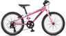 Jamis Bikes Xr.20 Youth Mountain Bike - Raspberry Raspberry