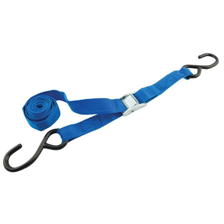 Erickson Cam Buckle Strap