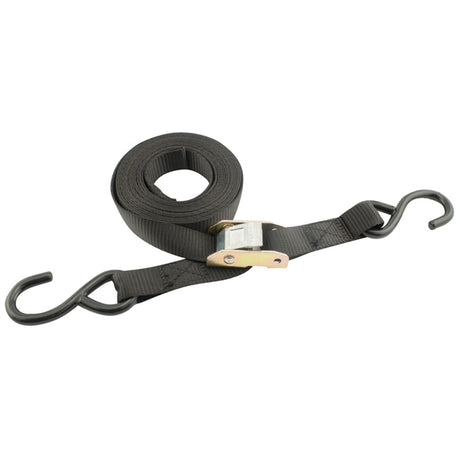 Erickson Cam Buckle Strap