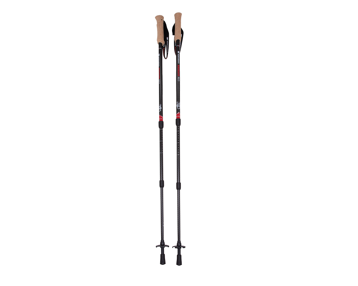 Mountainsmith Andesite Neo Trekking Poles, Carbon Carbon