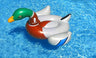 Swimline Giant Decoy Duck Mallard Ride On Mallard duck