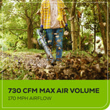 Greenworks 80V 730 CFM Cordless Battery Leaf Blower with 2.5Ah Battery & Rapid Charger