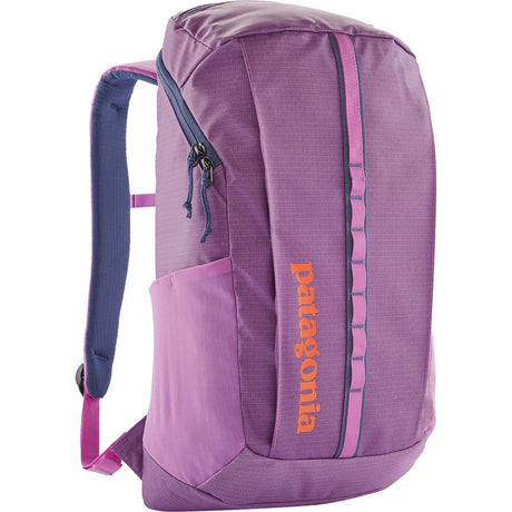 Patagonia Black Hole Pack 25l Talon gold