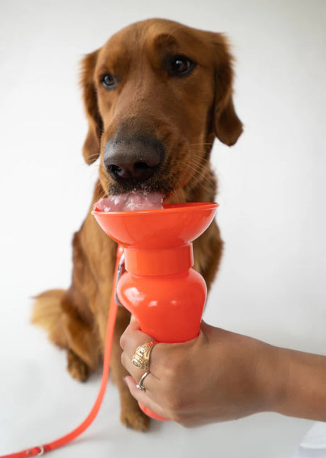 Springer Pets Classic Dog Travel Bottle 22oz - Poppy