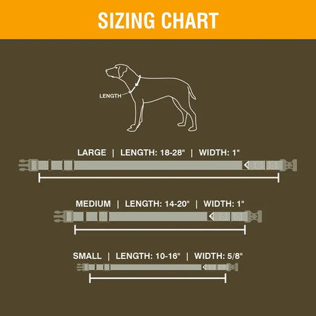 Browning Classic Webbing Collar