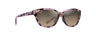 Maui Jim Punono Sunglasses, Brown/bronze Maui Gradient Brwn/brnz mauigrad