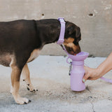 Springer Pets Mini Dog Travel Bottle 15oz - Lilac