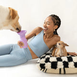 Springer Pets Mini Dog Travel Bottle 15oz - Lilac