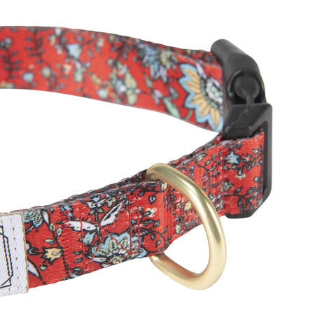 Hooey Nomad Collar