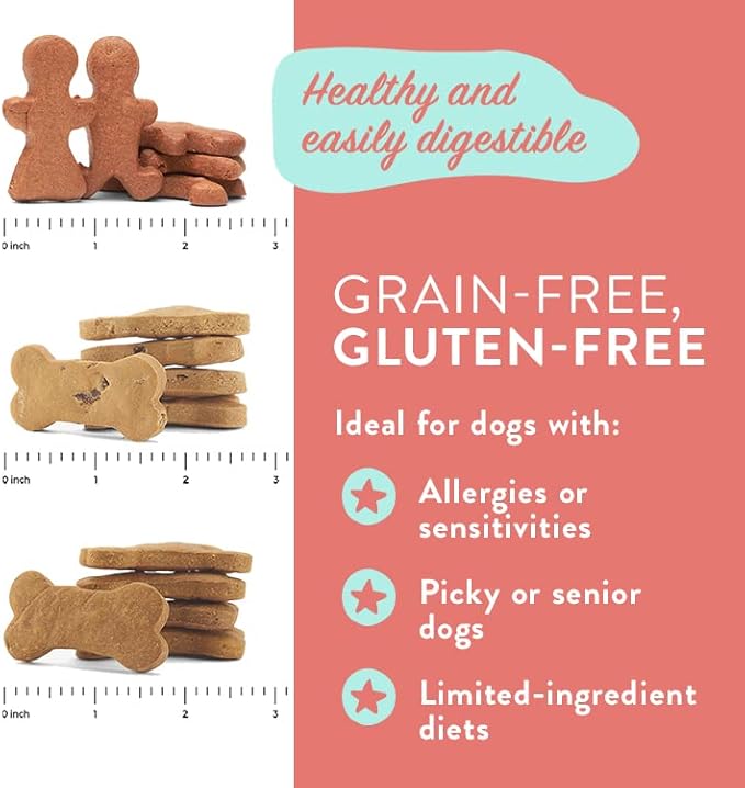 Portland Pet Food Grain & Gluten-Free Apple & Mint Biscuits Dog Treats - 5oz