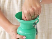 Classic Dog Travel Bottle 22oz - Cotton Candy