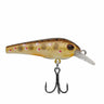 Berkley Hit Stick | 3.5 (3/50 oz) | 1 3/8in | 3.5cm | 14 | 2'-4' | 0.6m-1.2m | Model #BHBHSS3.5-BRTR Brown Trout