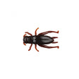 Berkley Gulp! Alive! Cricket Cricket Brown