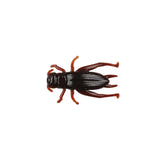 Berkley Gulp! Alive! Cricket Cricket Brown
