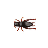 Berkley Gulp! Cricket Cricket Brown