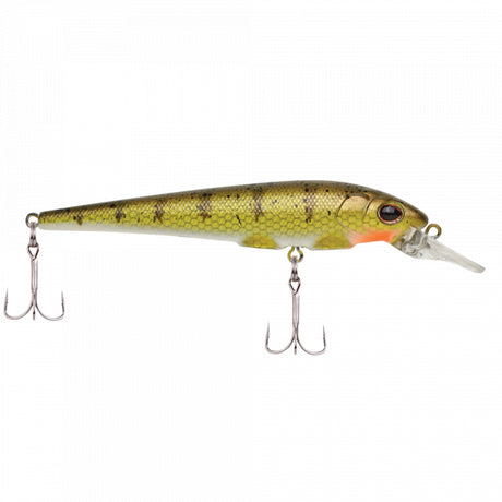 Berkley Hit Stick | 5 (1/7 oz) | 2in | 5cm | 12 | 2'-5' | 0.5-1.5m | Model #BHBHSF5-YP Yellow Perch